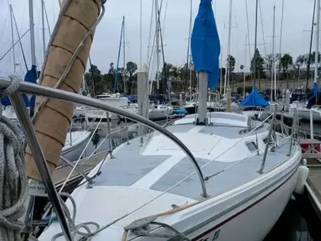 Catalina Sloop