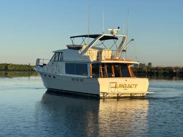 Bayliner Pilothouse