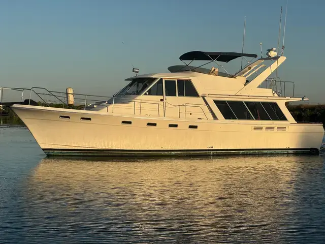 Bayliner Pilothouse