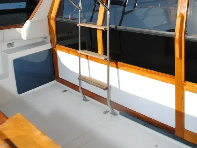 Bayliner Pilothouse