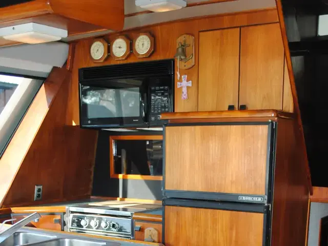 Bayliner Pilothouse