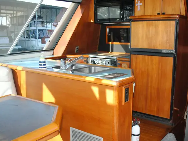 Bayliner Pilothouse