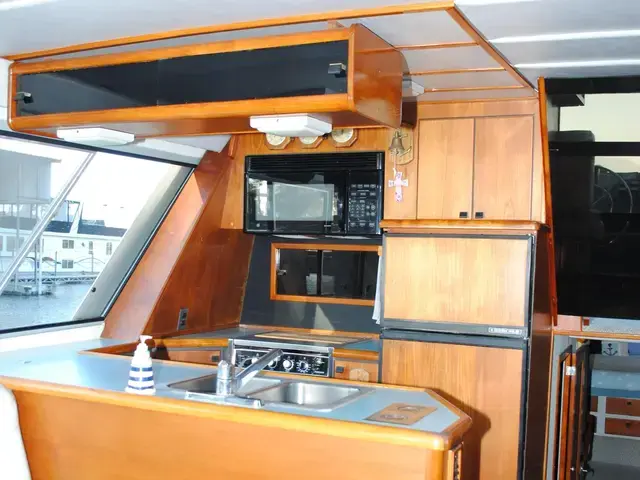 Bayliner Pilothouse