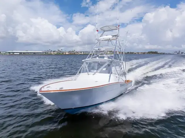 Predator 35'