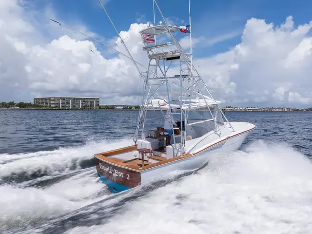 Predator 35'