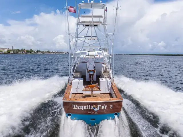 Predator 35'