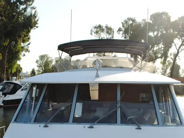 Bayliner Pilothouse