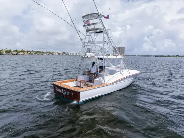 Predator 35'