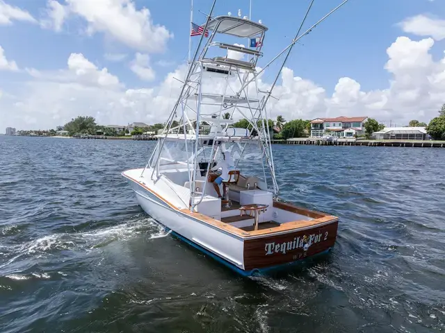 Predator 35'