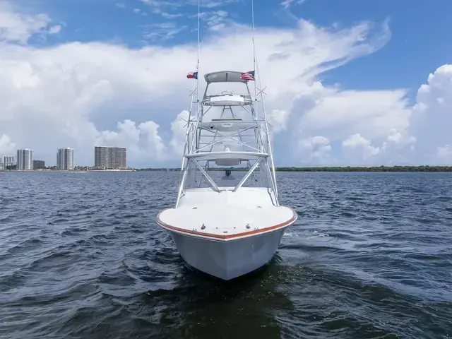 Predator 35'