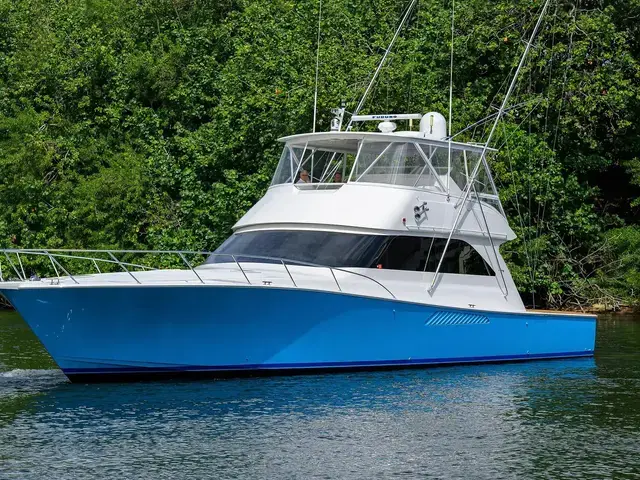 Viking 61'