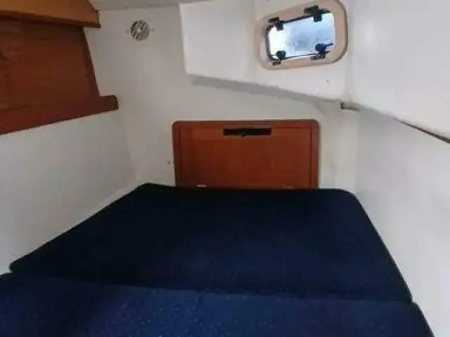 Catalina 42