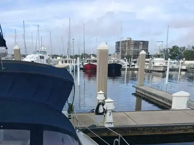 Catalina 42