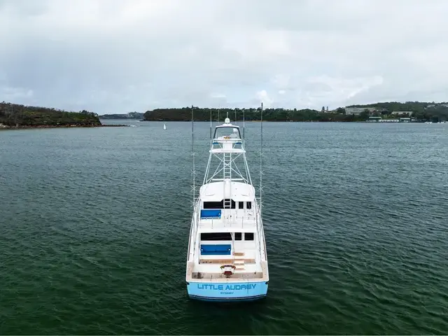 Viking 82'