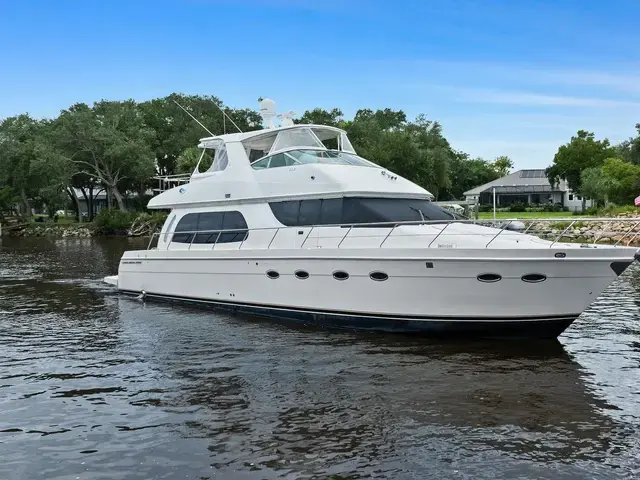 Carver 56'