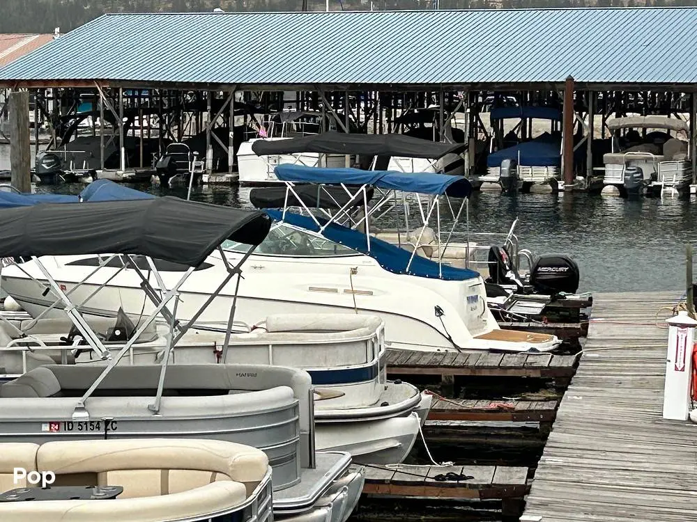 2007 Bayliner marine 245