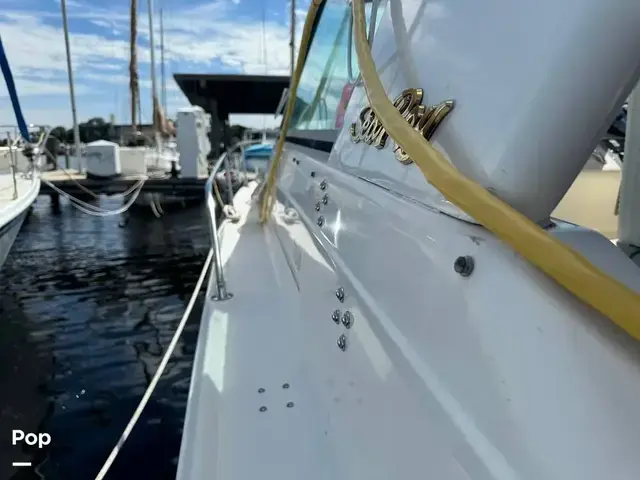 Sea Ray Sundancer 300