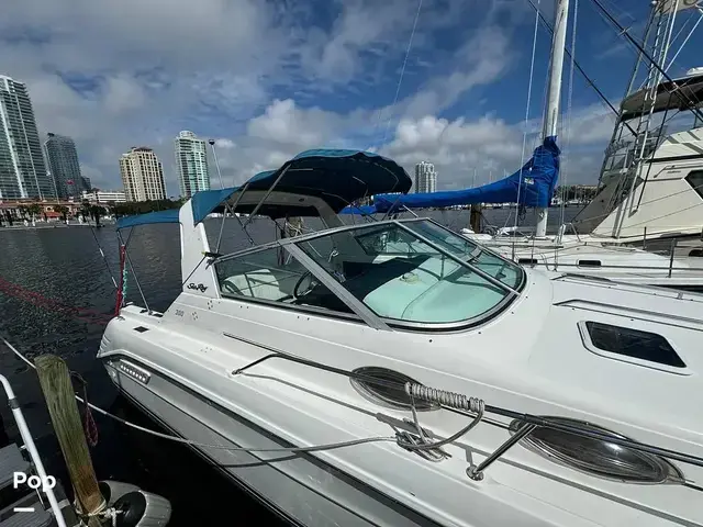 Sea Ray Sundancer 300