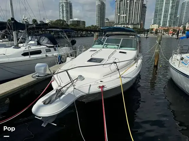 Sea Ray Sundancer 300