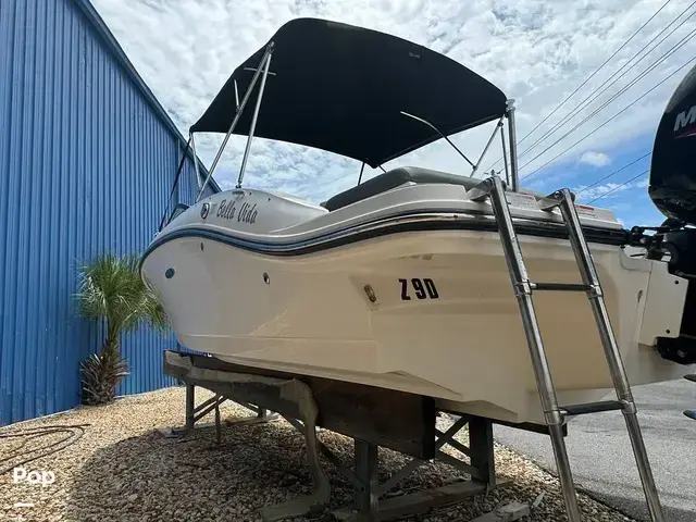 Sea Ray SPX 190