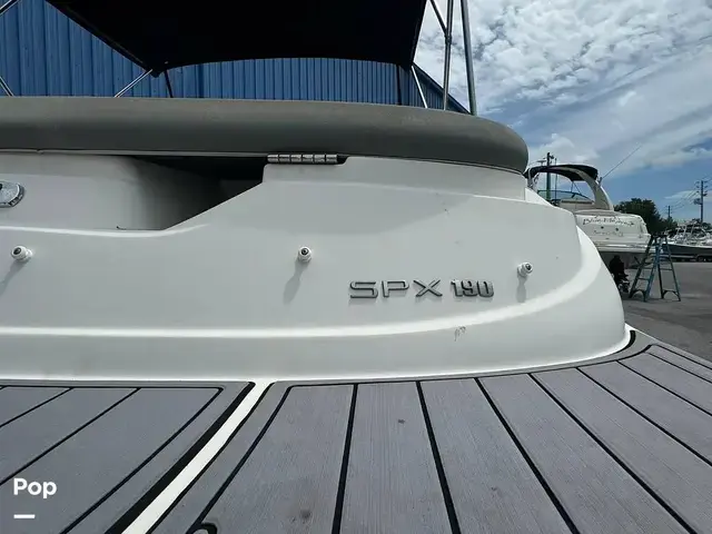 Sea Ray SPX 190