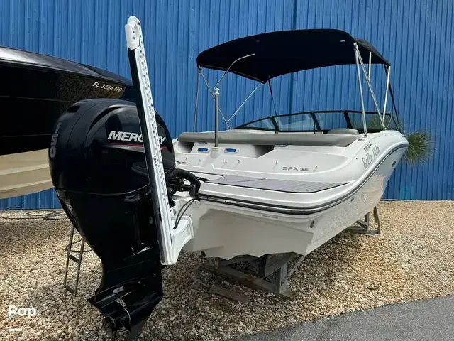 Sea Ray SPX 190