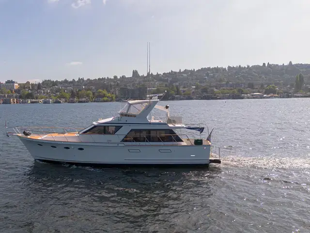 Ocean Alexander 50'