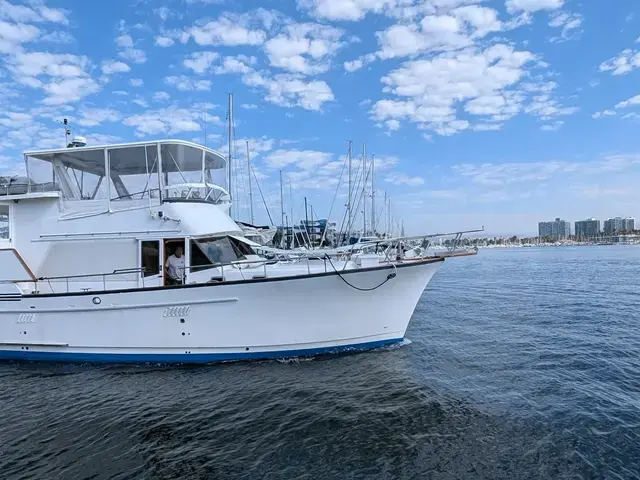 Sea Ranger 45