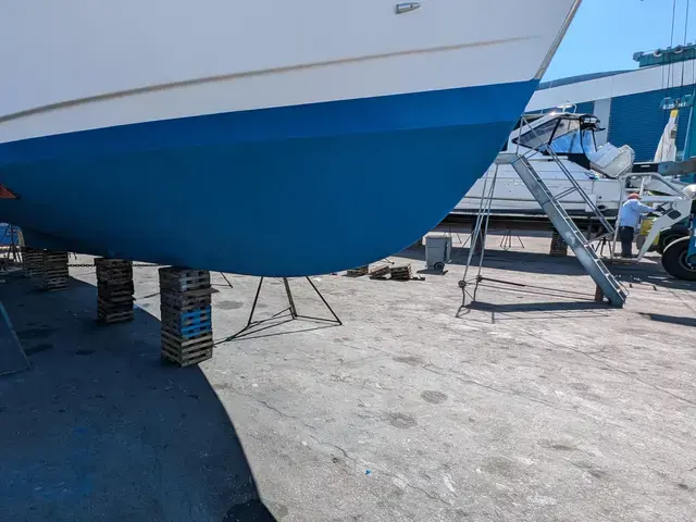 Sea Ranger 45