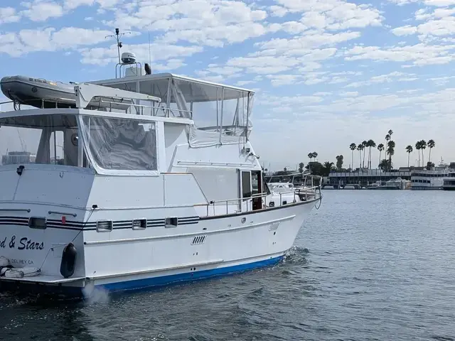 Sea Ranger 45