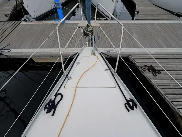 Bavaria 36