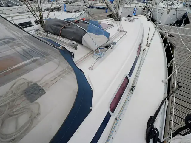 Bavaria 36