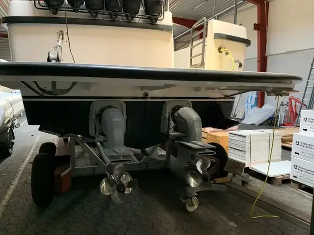 Sargo 31