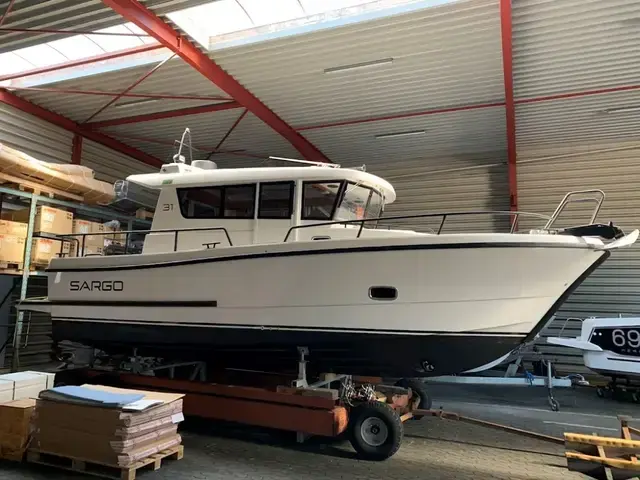 Sargo 31