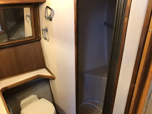 Sea Ray 360 Aft Cabin