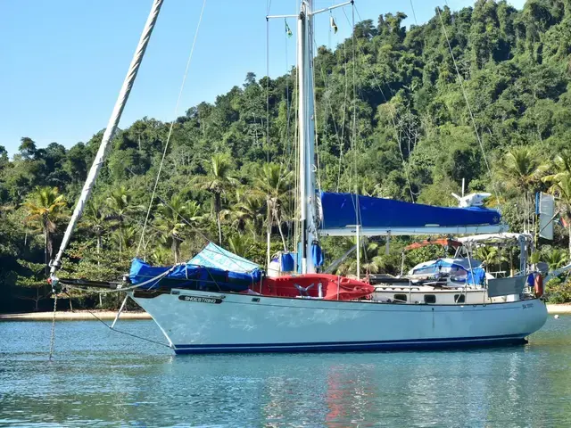 Shearwater 39