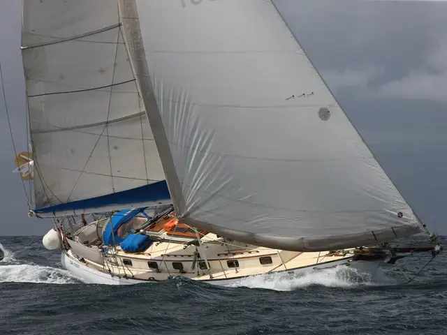 Shearwater 39