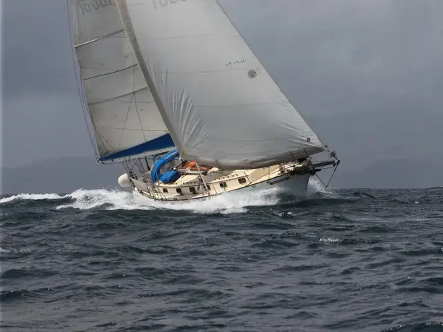 Shearwater 39