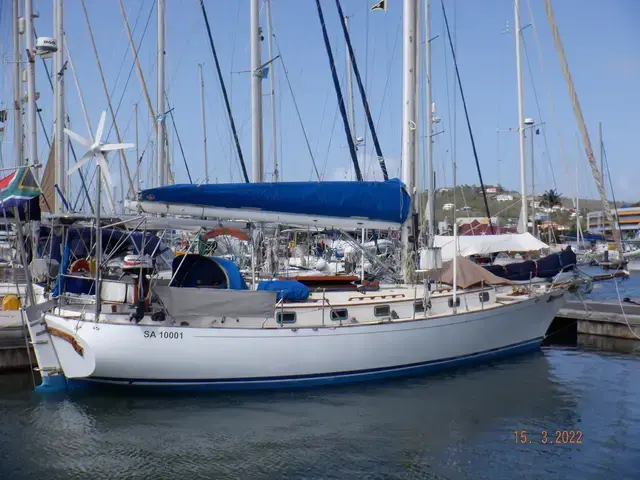 Shearwater 39