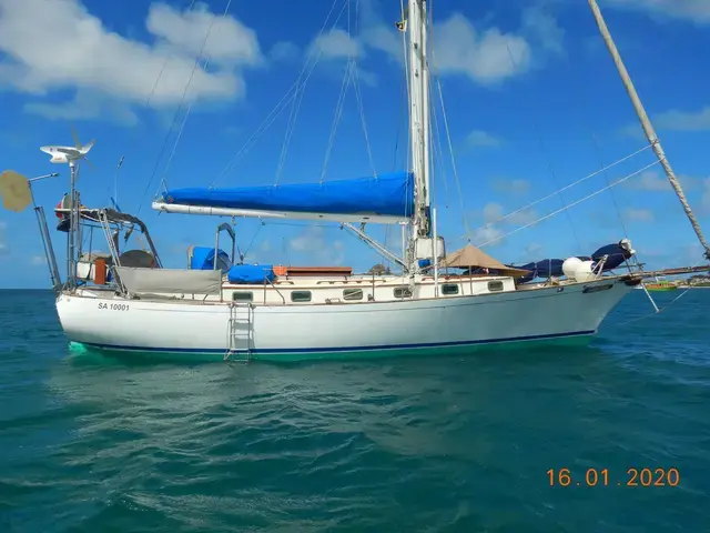 Shearwater 39