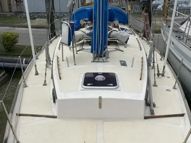 Shearwater 39