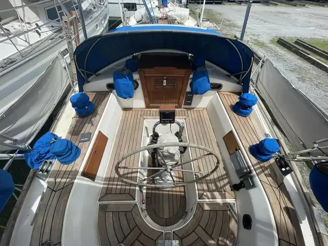 Shearwater 39