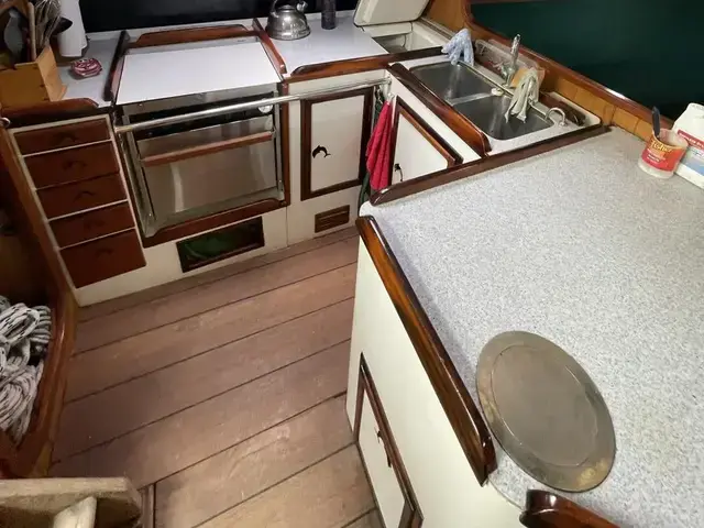 Shearwater 39