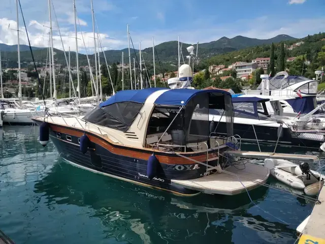 Terra Nauta 40