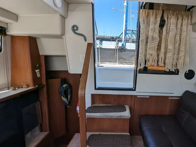 Carver 33 Aft Cabin