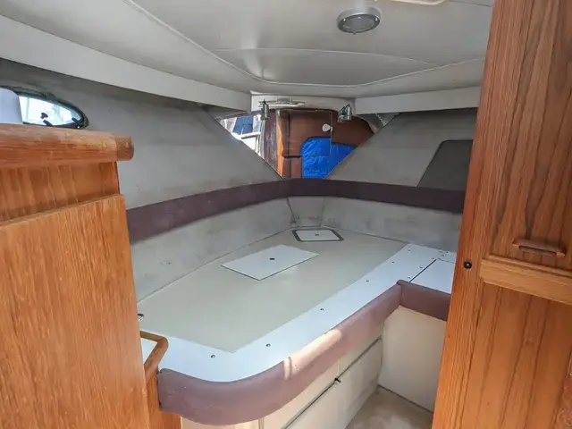 Carver 33 Aft Cabin