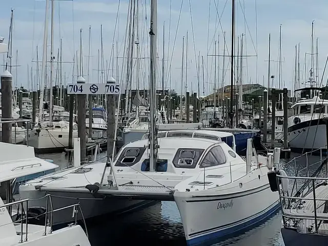 Catana 411