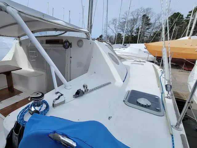 Catana 411