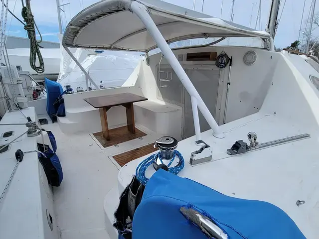 Catana 411