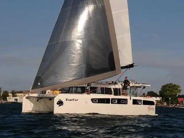 Dolphin 380